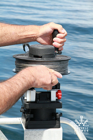Salish Sea Marine Survival Project-78 - LOGO