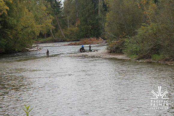 2014 Adams River Salute to Sockeye-146 - LOGO