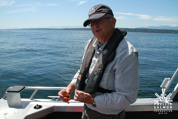 Salish Sea Marine Survival Project-100 - LOGO