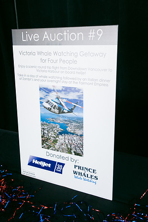 3 AUCTION ITEMS - PSF-SOMBILON PHOTOGRAPHY-22