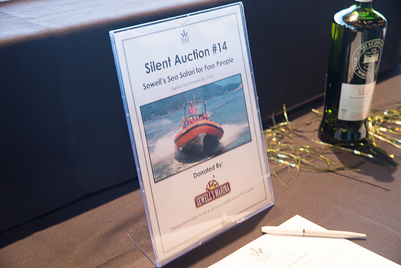 3 AUCTION ITEMS - PSF-SOMBILON PHOTOGRAPHY-110