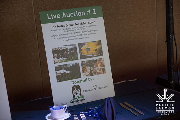 1 SILENT-LIVE AUCTION- PSF GALA 2014- Sombilon Photography-23 - LOGO