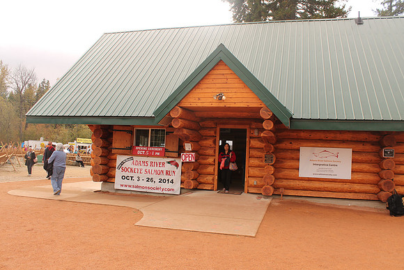 2014 Adams River Salute to Sockeye-110