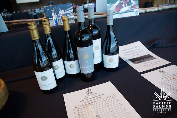 5 SETUP - PSF 2015 - SOMBILON PHOTOGRAPHY-218
