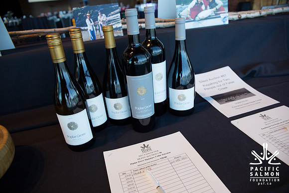 5 SETUP - PSF 2015 - SOMBILON PHOTOGRAPHY-219