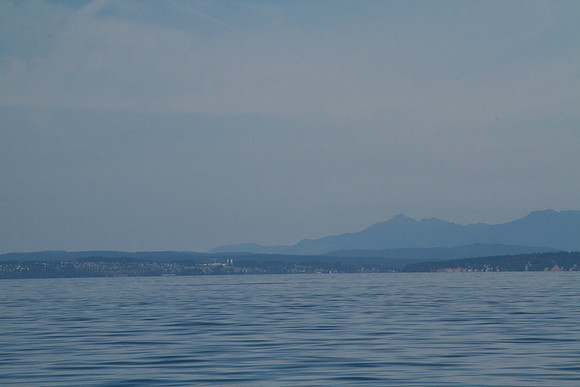 Salish Sea Marine Survival Project-20