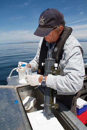 Salish Sea Marine Survival Project-9