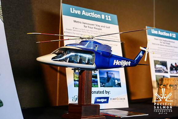 AUCTION-LIVE-ITEMS-PSF-Photos by Ron Sombilon-37 - LOGO
