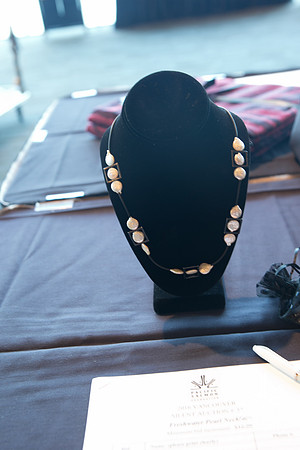 3 AUCTION ITEMS - PSF-SOMBILON PHOTOGRAPHY-189 - LOGO