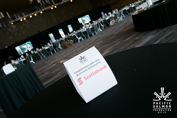 3 AUCTION ITEMS - PSF-SOMBILON PHOTOGRAPHY-212 - LOGO