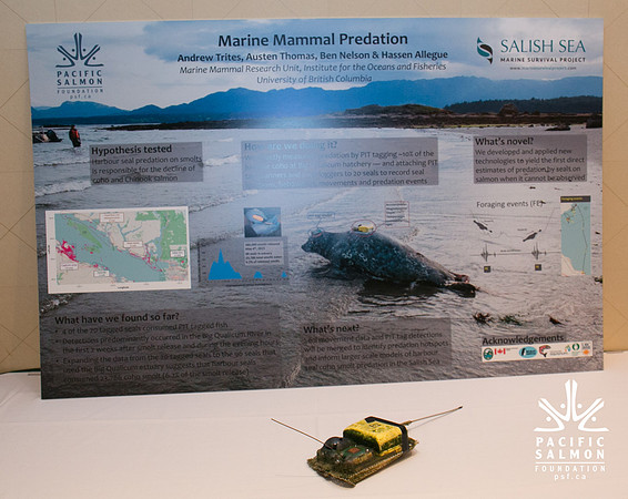 2 SCIENTISTS - SALISH SEA MARINE PROJECT - PSF-49 - LOGO