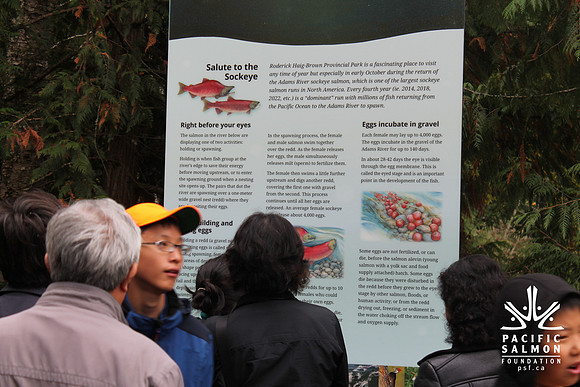2014 Adams River Salute to Sockeye-170 - LOGO