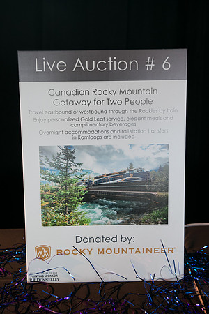 3 AUCTION ITEMS - PSF-SOMBILON PHOTOGRAPHY-36