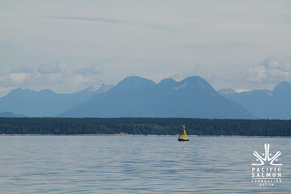 Salish Sea Marine Survival Project-18 - LOGO