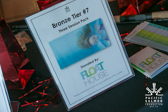 3 AUCTION ITEMS - PSF-SOMBILON PHOTOGRAPHY-248 - LOGO