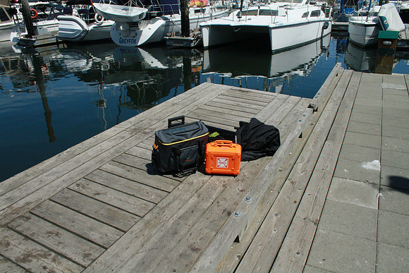 Salish Sea Marine Survival Project-2