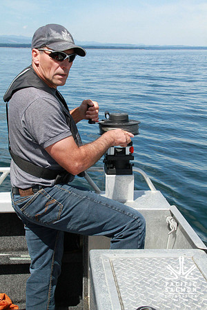 Salish Sea Marine Survival Project - LOGO