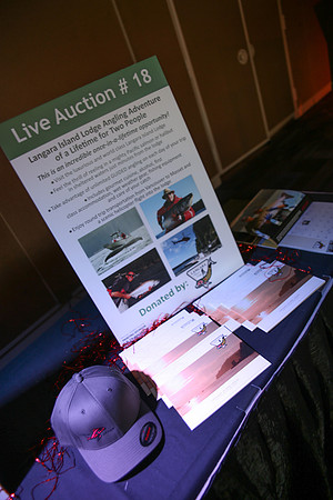 1 SILENT-LIVE AUCTION- PSF GALA 2014- Sombilon Photography-44