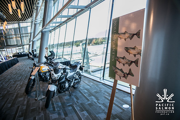 3 AUCTION ITEMS - PSF-SOMBILON PHOTOGRAPHY-176 - LOGO
