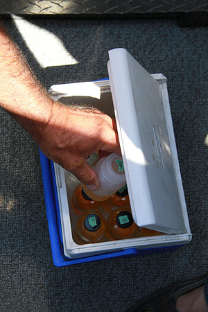 Salish Sea Marine Survival Project-58