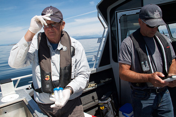 Salish Sea Marine Survival Project-3