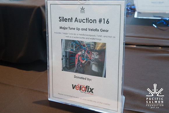 3 AUCTION ITEMS - PSF-SOMBILON PHOTOGRAPHY-108 - LOGO