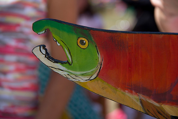 2013 Pink Salmon Festival-33