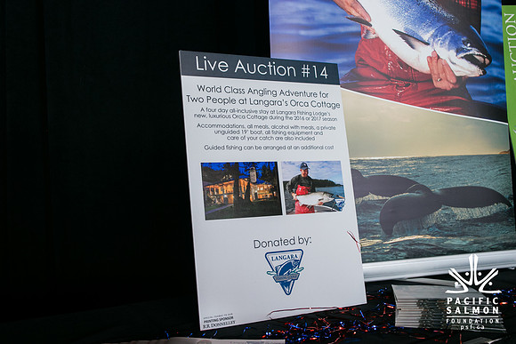 3 AUCTION ITEMS - PSF-SOMBILON PHOTOGRAPHY-5 - LOGO