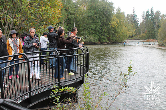 2014 Adams River Salute to Sockeye-156 - LOGO