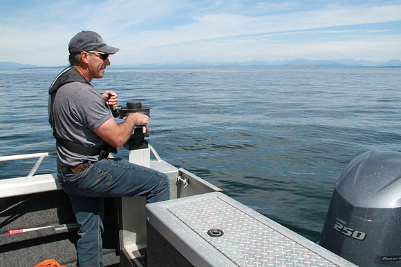 Salish Sea Marine Survival Project-81