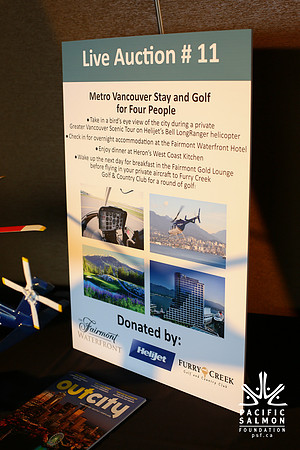 AUCTION-LIVE-ITEMS-PSF-Photos by Ron Sombilon-35 - LOGO
