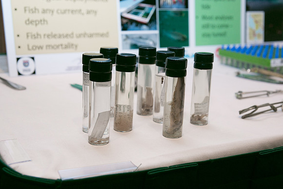 2 SCIENTISTS - SALISH SEA MARINE PROJECT - PSF-6