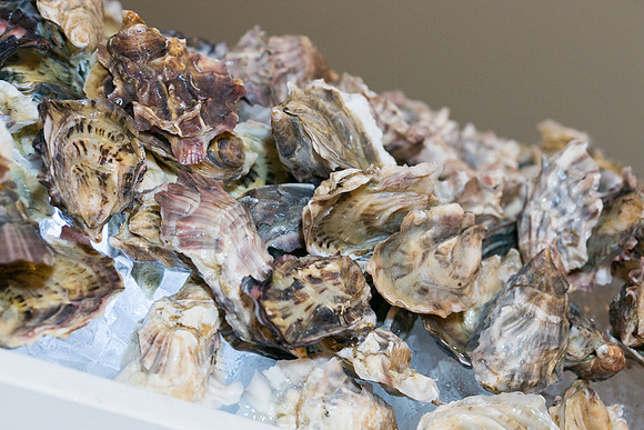 4 SETUP - SOUTH VAN ISLAND DINNER - PSF-58
