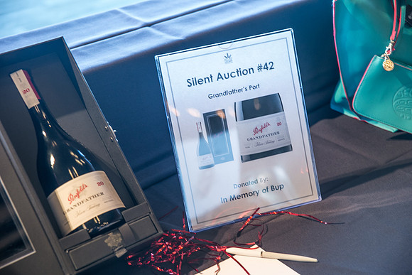 3 AUCTION ITEMS - PSF-SOMBILON PHOTOGRAPHY-199