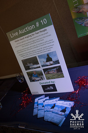 1 SILENT-LIVE AUCTION- PSF GALA 2014- Sombilon Photography-33 - LOGO