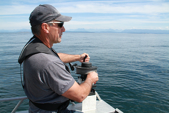 Salish Sea Marine Survival Project-91