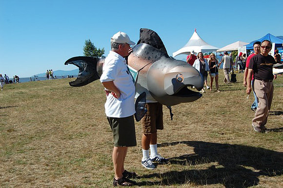 2011 Pink Salmon Festival-119