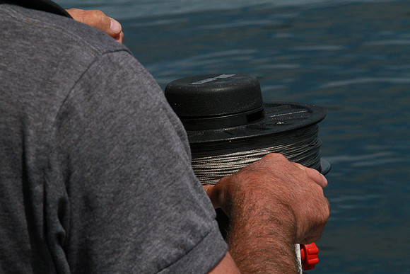 Salish Sea Marine Survival Project-85