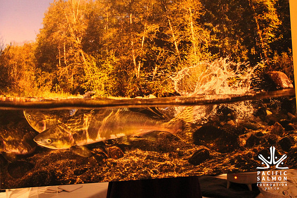 2015 Campbell River Dinner-68 - LOGO