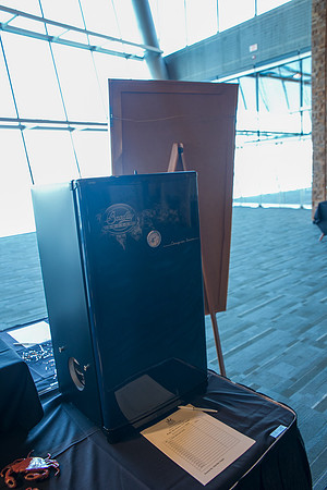 3 AUCTION ITEMS - PSF-SOMBILON PHOTOGRAPHY-210
