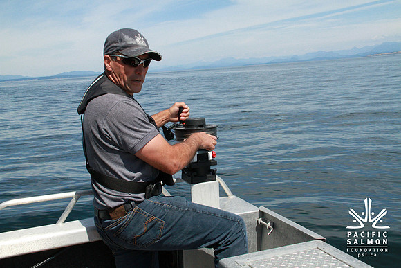 Salish Sea Marine Survival Project-82 - LOGO