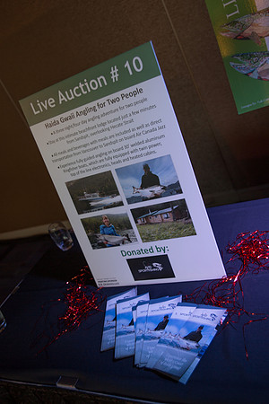 1 SILENT-LIVE AUCTION- PSF GALA 2014- Sombilon Photography-33