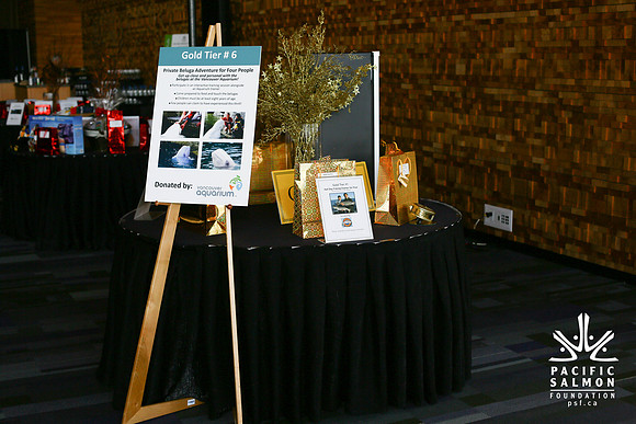 AUCTION-GOLD TIER RAFFLE ITEMS-PSF-Photos by Ron Sombilon - LOGO