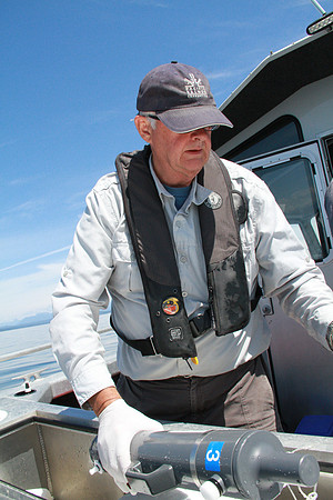 Salish Sea Marine Survival Project-6