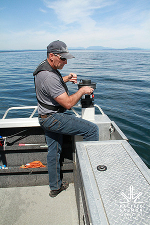 Salish Sea Marine Survival Project-80 - LOGO