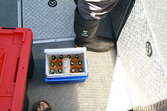 Salish Sea Marine Survival Project-54