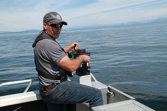 Salish Sea Marine Survival Project-82