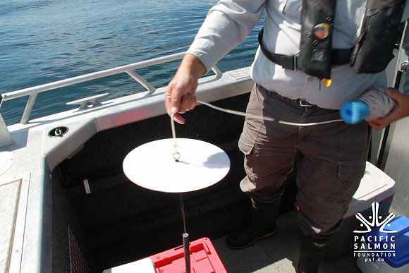 Salish Sea Marine Survival Project-86 - LOGO