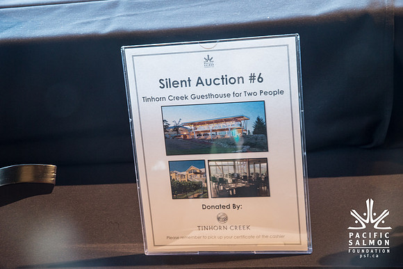 3 AUCTION ITEMS - PSF-SOMBILON PHOTOGRAPHY-120 - LOGO