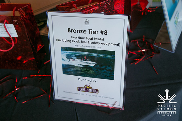 3 AUCTION ITEMS - PSF-SOMBILON PHOTOGRAPHY-247 - LOGO